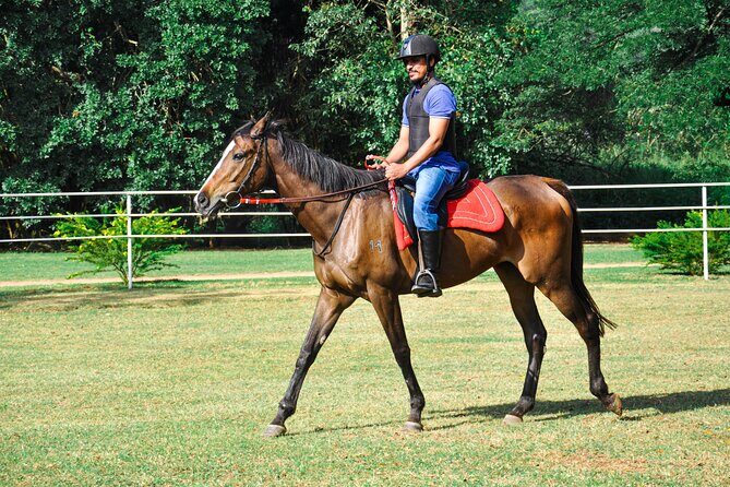 Horse Riding for Beginners from Negombo - An Honest Look at the Experience