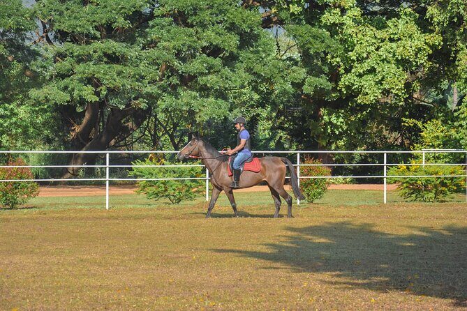 Horse Riding for Beginners from Negombo - The Sum Up