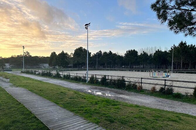 Horse Riding in Aveiro - Ílhavo - Key Points