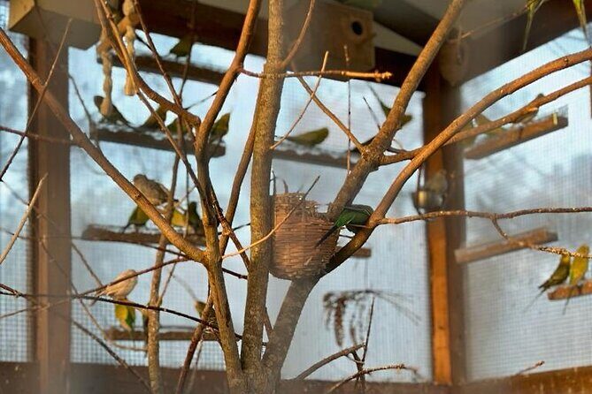Horse Riding in Aveiro - Ílhavo - Who Should Consider This Tour?