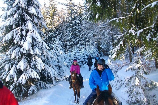 Horse Riding in Bled - Who Will Love This Tour?
