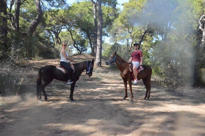 Horse Riding in Manavgat Side Forest and Beach - A Deep Dive into the Horseback Experience in Side