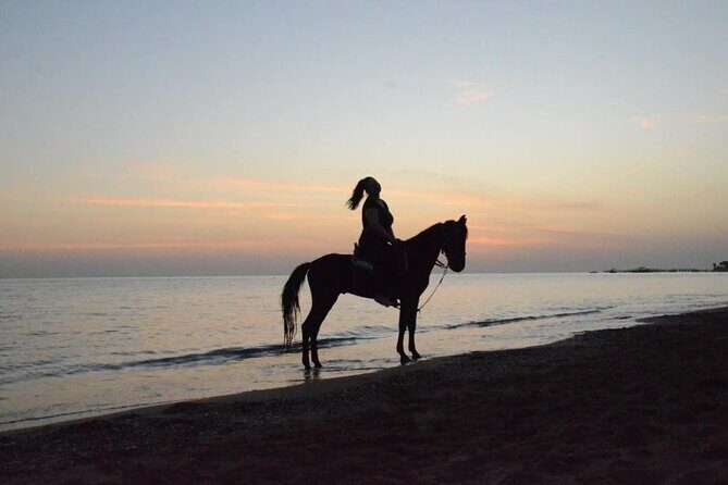 Horse Riding in Manavgat Side Forest and Beach - FAQ
