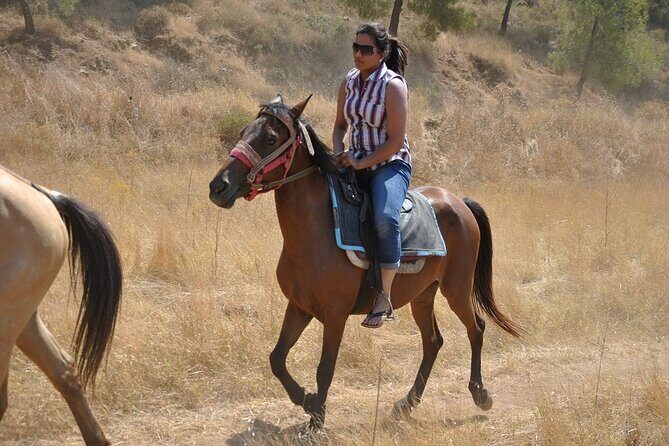 Horse Riding in Marmaris & Icmeler - The Sum Up: Why This Horse Riding Experience Is a Great Choice