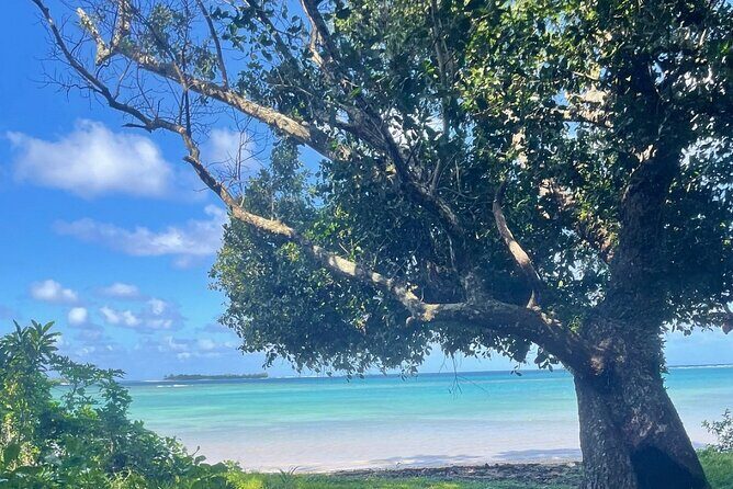 Horse Riding in Port Vila with Yumi Tours - Pricing and Value