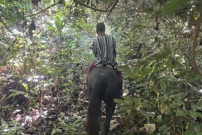 Horse Riding in Port Vila with Yumi Tours - Practical Details