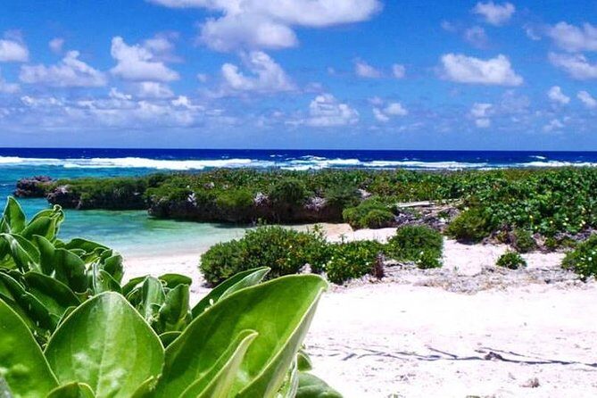 Horse Riding in Port Vila with Yumi Tours - Who Will Enjoy This Tour?