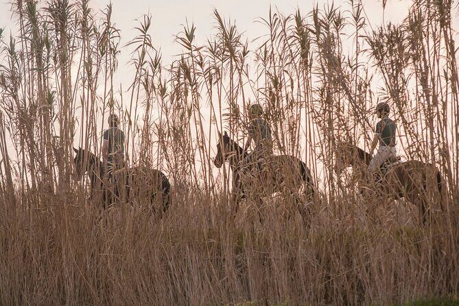 Horse Riding in the Countryside - FAQ