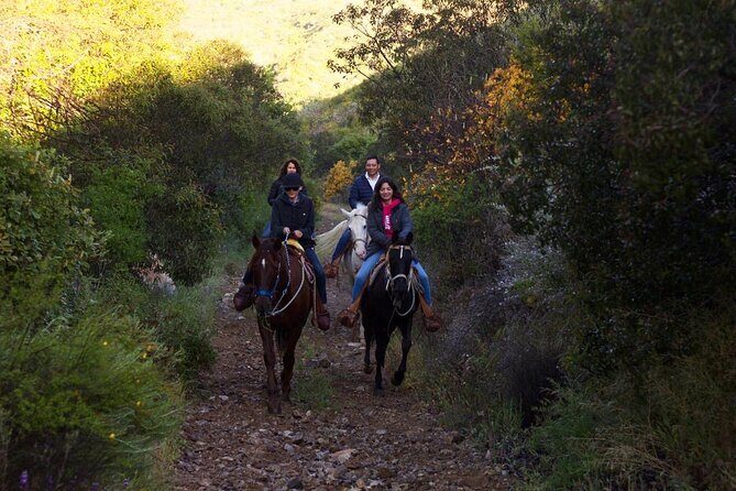 Horse Riding in the Mountain - Key Points