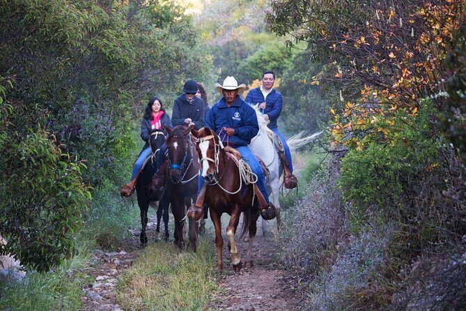 Horse Riding in the Mountain - Who Is This Tour Best For?