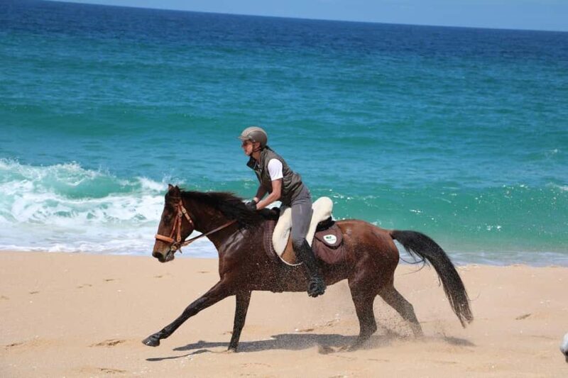 Horse riding in the Valley, near Lisbon, brunch and winnery - Who Will Love This Tour?