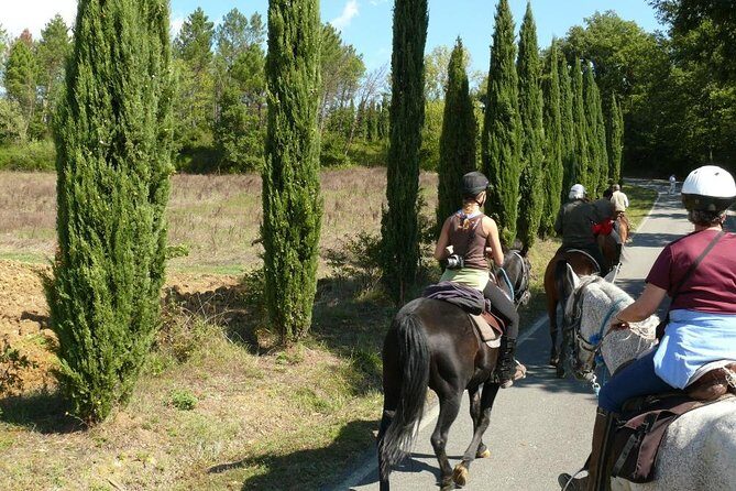 Horse Riding in Tuscany for Experienced Riders: Full-day Trail Ride - Discovering Tuscany’s Rugged Beauty on Horseback