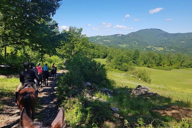 Horse Riding in Tuscany for Experienced Riders: Full-day Trail Ride - Who Will Love This Tour?
