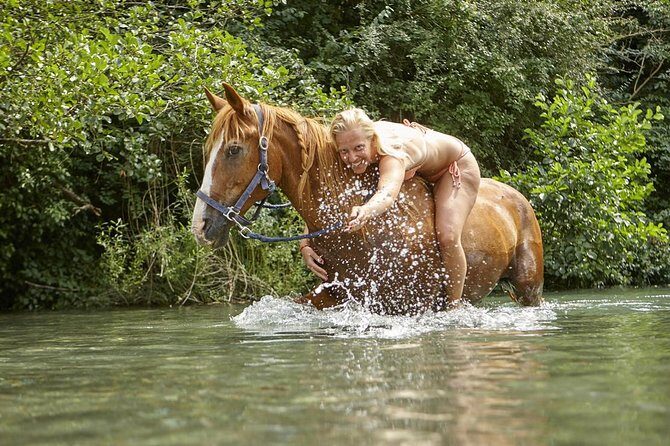 Horse Riding in Tuscany for Experienced Riders: Full-day Trail Ride - The Sum Up: Is It Worth It?