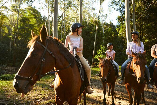 Horse Riding, Koalas & Kangaroos - Wild Australia: Private Tour - Who Will Benefit Most?