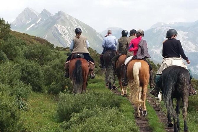 Horse Riding Madrid Natural Park (long Trip) - An In-Depth Look at the Horseback Riding Experience in Madrid’s Natural Park