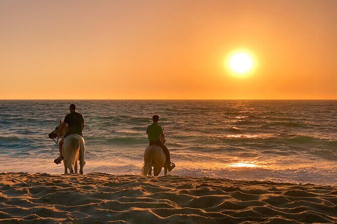 Horse Riding on Melides Beach - The Experience in Detail