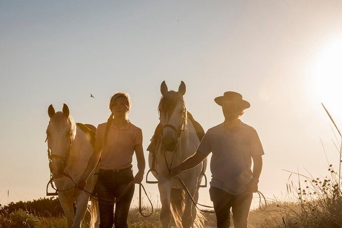 Horse Riding on the Beach - What to Expect During Your Horseback Ride in Portugal