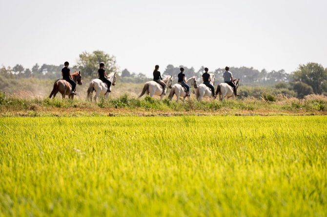 Horse Riding on the Beach - The Sum Up: Who Will Love This Horseback Ride?