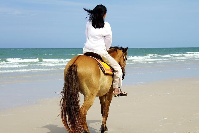 Horse Riding on the Beach in Side - Guides and Safety Measures