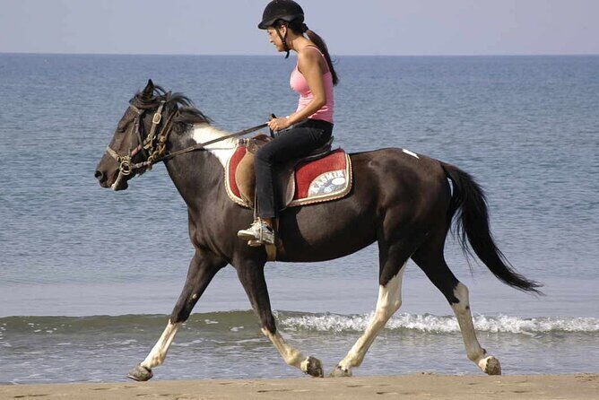 Horse Riding on the Beach in Side - FAQ