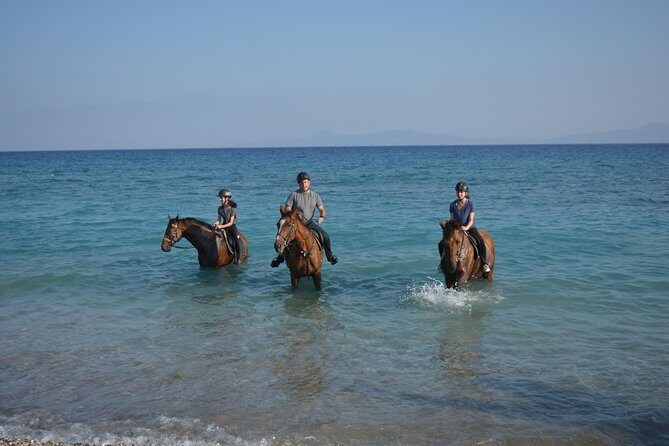 Horse riding on the Beach, Rhodes - The Experience in Detail