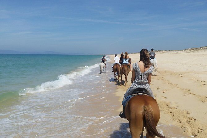 Horse Riding on the Beach Tour - An Overview of the Experience