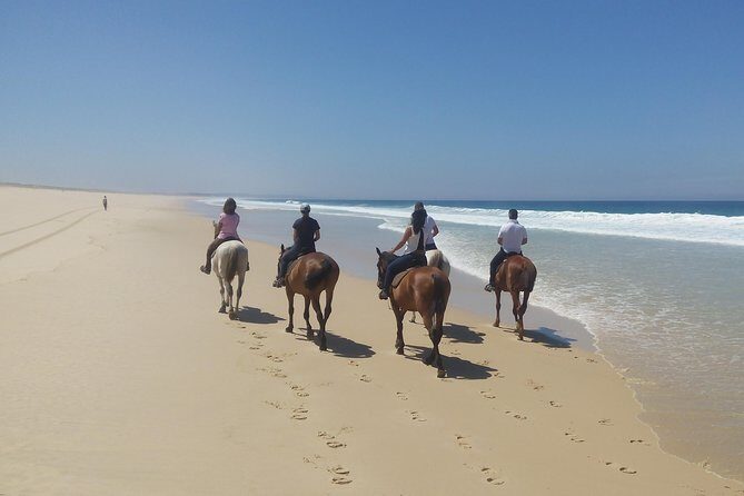 Horse Riding on the Beach Tour - Authentic Feedback from Past Travelers