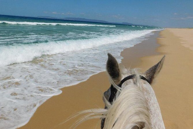 Horse Riding on the Beach Tour - Who Should Consider This Tour?