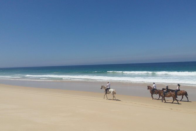 Horse Riding on the Beach Tour - Final Thoughts