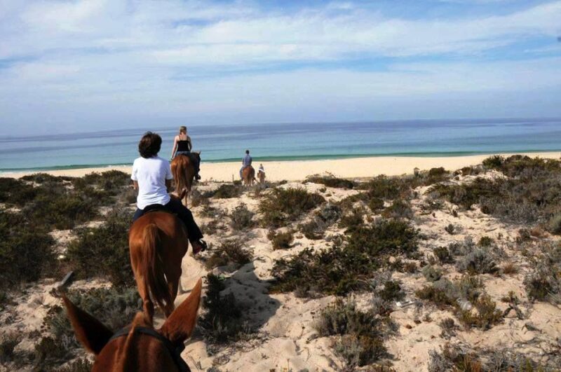 Horse riding on the beach, with private transfer from Lisbon - Key Points