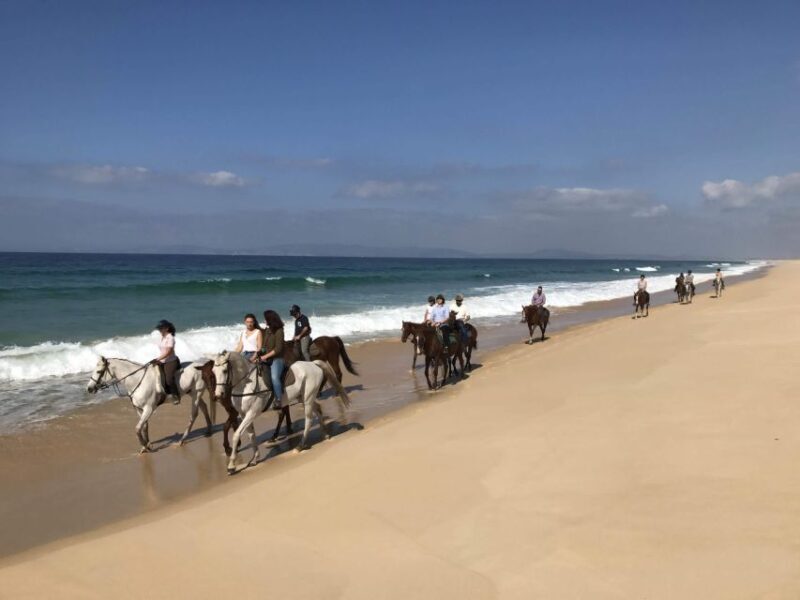 Horse riding on the beach, with private transfer from Lisbon - An In-Depth Look at the Horse Riding Experience