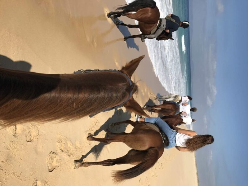 Horse riding on the beach, with private transfer from Lisbon - The Ride Itself: Pros and Cons