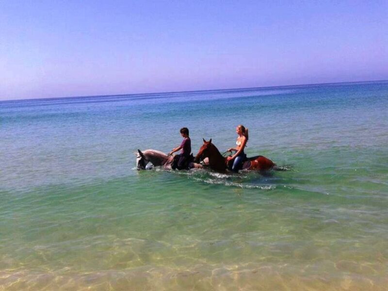 Horse riding on the beach, with private transfer from Lisbon - Is This Tour Right for You?