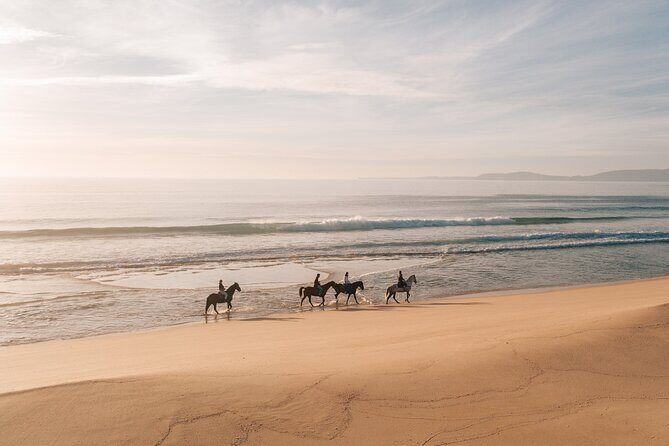 Horse Riding on the Beach with private transfer from Lisbon - Practical Details and What’s Included