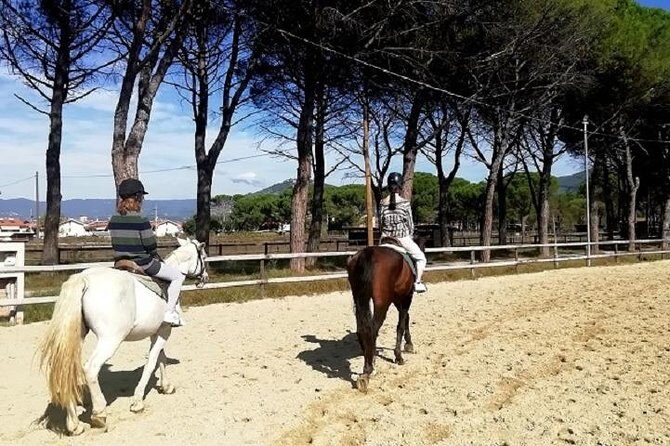 Horse Riding Small Group near Lucca - What Riders Are Saying