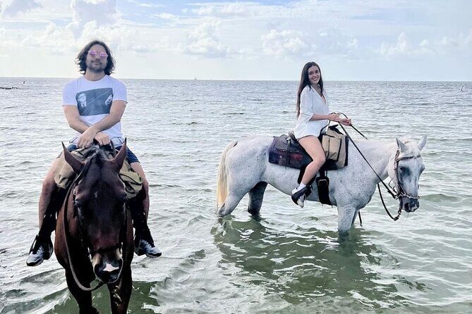 Horse Riding Tour at the Beach in Miami - What to Expect from the Horse Riding Experience in Miami