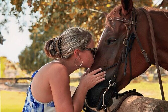 Horse Riding Tour at the Beach in Miami - The Sum Up: Who Will Love This Experience?