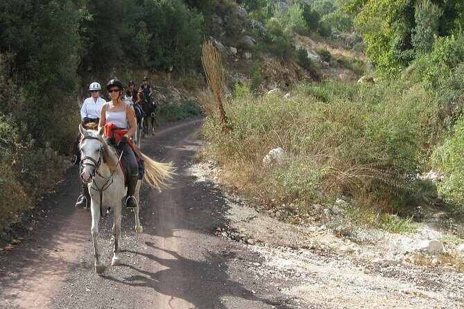 Horse Riding Tour in Bodrum with Hotel Pick Up - Key Points