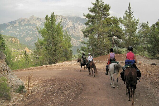 Horse Riding Tour in Bodrum with Hotel Pick Up - Who Should Consider This Tour?