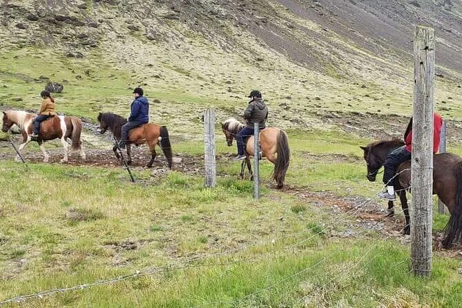 Horse Riding Tour in Reykjadalur (Smoky Valley)-All Riding Levels - What to Expect from the Reykjadalur Horseback Riding Experience