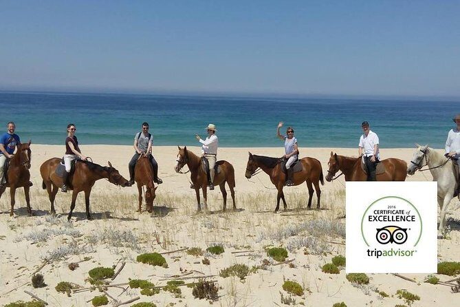 Horse Riding Tour on the Beach Lisbon region - Final Thoughts — Is This Tour Right for You?