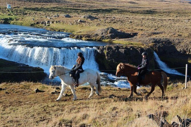 Horse Riding Tour to the Glacier River Delta with Waterfall - In The Sum Up