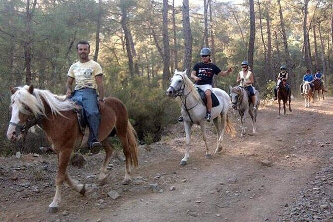 Horse Safari From Kemer - What to Expect from the Horse Safari in Kemer