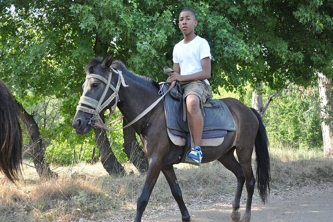 Horse Safari Tour in Marmaris & Icmeler - Who Should Consider This Tour?