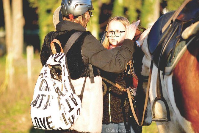 Horse Sanctuary & Trail Ride - The Value of the Experience