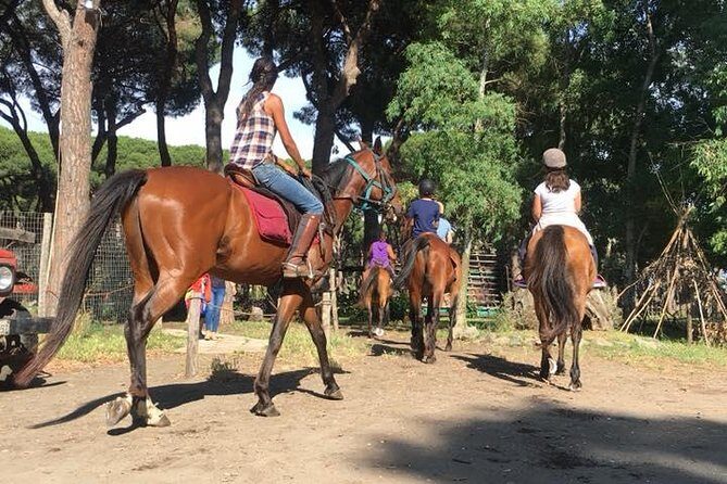 Horse Sanctuary & Trail Ride - FAQs