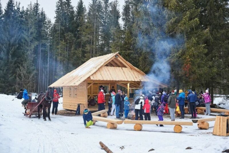Horse Sleigh 2-3h Ride with Hot Springs or Zakopane Combos - An In-Depth Look at the Zakopane Tour Experience