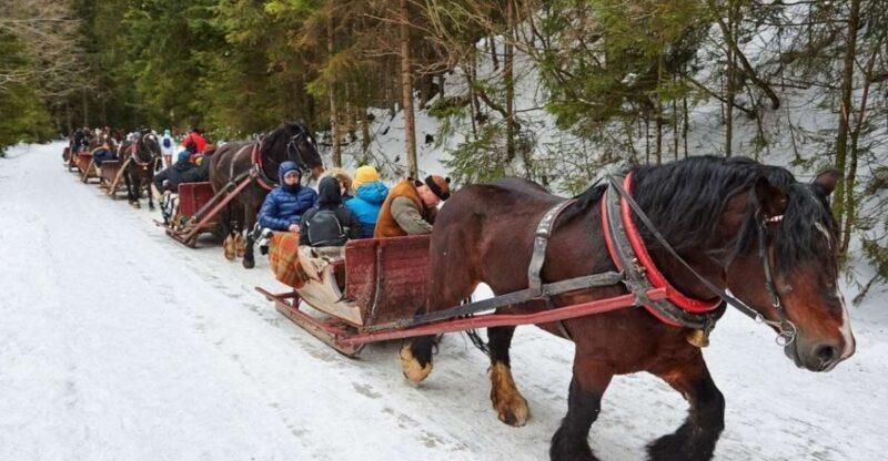 Horse Sleigh 2-3h Ride with Hot Springs or Zakopane Combos - Final Thoughts