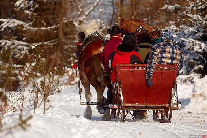 Horse Sleigh Ride in the Polish Countryside, private tour from Krakow - A Closer Look at the Experience